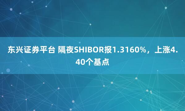 东兴证券平台 隔夜SHIBOR报1.3160%，上涨4.40个基点